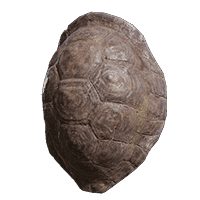 Great Turtle Shell